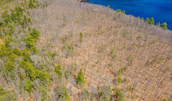 forest Road, Alstead, NH 03602