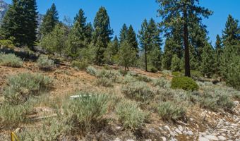 490 Nature's Edge Rd, Gardnerville, NV 89460