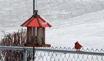 175 Applegate Ln, Bassett, VA 24055