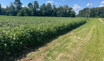 2672 Big Fork Rd, Barnwell, SC 29812