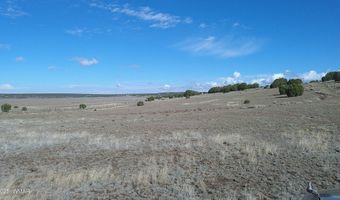 7 N CR 8171, Concho, AZ 85924