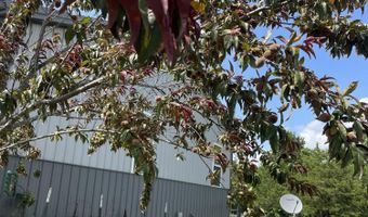 6609 County Road O-535, Ava, MO 65608