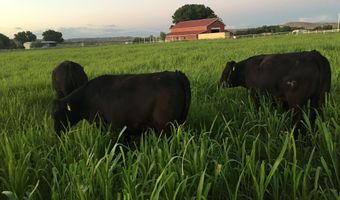 918 ROAD 4990, Bloomfield, NM 87413