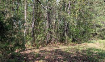 TBD Boyd Road, Blackstock, SC 29014