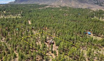 2 Co Rd N2147, Alpine, AZ 85920