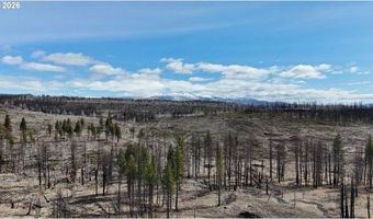 Hicks Rd, Bly, OR 97622