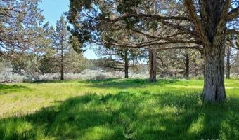 1854 Pintail Dr, Alturas, CA 96101