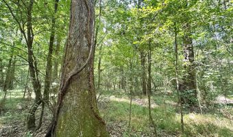 2 Champion Hill Rd, Bolton, MS 39041