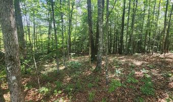 20 Bluff View Loop, Allardt, TN 38504