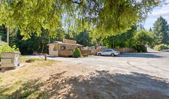 39913 NE 221ST Ave, Amboy, WA 98601