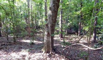 330 County Road 245, Abbeville, MS 38601