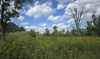 14296 Tubspring Vl, Allenton, MI 48002