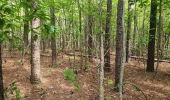 0- Lot 2-2 Red House Rd, Appomattox, VA 24522