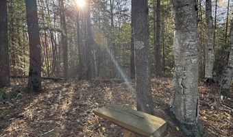 V/L Wildwood Road lot 9, Alger, MI 48610