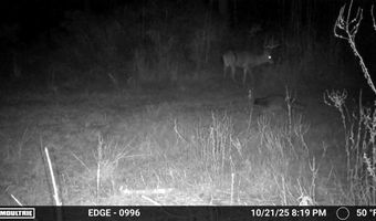 Hwy 9, Bruce, MS 38915