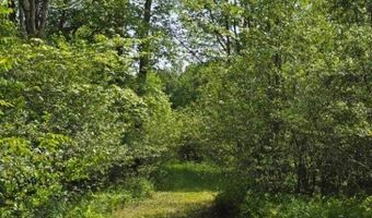 109 County Route 28, Albion, NY 13302