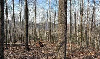 1029 Chippawa Dr 67, Arden, NC 28704