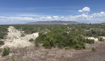 1565 William Harrison Ave, Battle Mountain, NV 89820