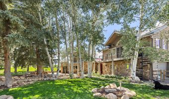 160 Spring Creek Rd, Basalt, CO 81621