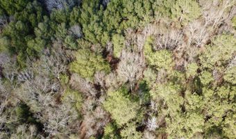 County Road 72, Ariton, AL 36311