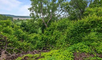 226 Manhattan Dr, Burlington, VT 05401