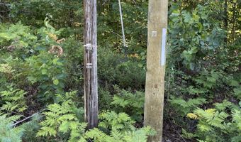 Birch View Drive lot # 0, Albany Twp., ME 04217