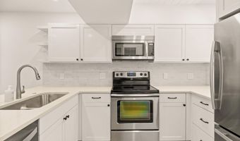 814 W Bleeker St B2, Aspen, CO 81611