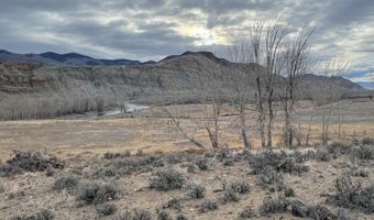 1111 Buckskin Run, Challis, ID 83226