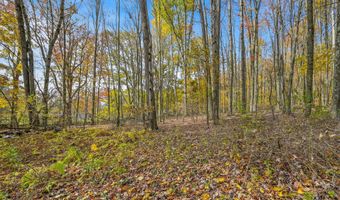 419 Algerine St, Afton, NY 13730