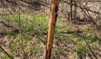 Xxx US Hwy 8, Almena, WI 54805