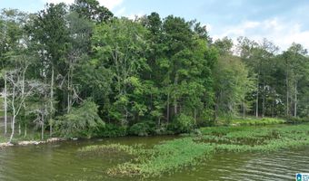 0 GIBSON COVE Dr 7.10 Acres Plus . 58 ac Access Lot, Ashville, AL 35953