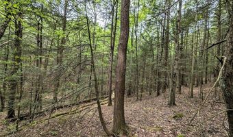 Stewart Road, Addison, NY 14801