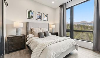 2520 BOREAS PASS Rd, Breckenridge, CO 80424