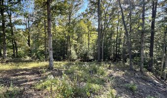 1 Mooretown Hill Rd, Beattyville, KY 41311