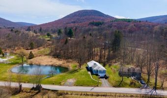 94 Gladstone Hollow Rd, Andes, NY 13731