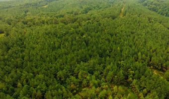 1037 Cr 300, Big Creek, MS 38914