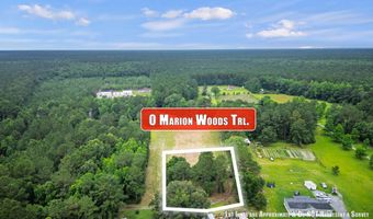 1 Marion Woods Trl, Bonneau, SC 29431