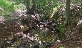 0- Lot 5 Piney Mountain Rd, Appomattox, VA 24522