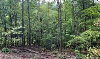 Basswood, Banner Elk, NC 28604