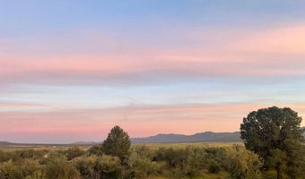 56795 Cain Rd, Anza, CA 92539