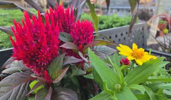 22085 580th Ave, Ames, IA 50010