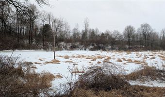 Algerine Street, Afton, NY 13730