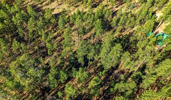 20 Co Rd 2067, Alpine, AZ 85920