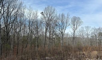 33 Ac Lot A Countryside Dr, Blackstock, SC 29014