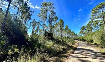 256 Hathcock Rd, Apalachicola, FL 32320