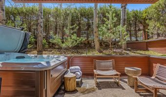 708 E Hyman Ave, Aspen, CO 81611