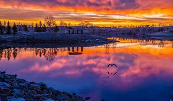 16005 Quandary Loop, Broomfield, CO 80023