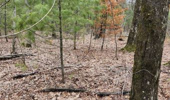 N Forest Lake Drive, Alger, MI 48610
