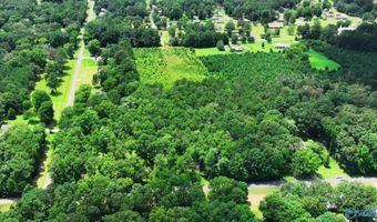 Wilcox Street SE, Attalla, AL 35954
