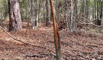 Eugene Ward Road, Adrian, GA 31002